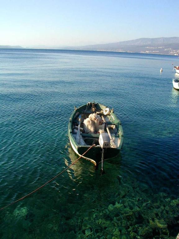 Hotel Adriatic 오미살즈 외부 사진