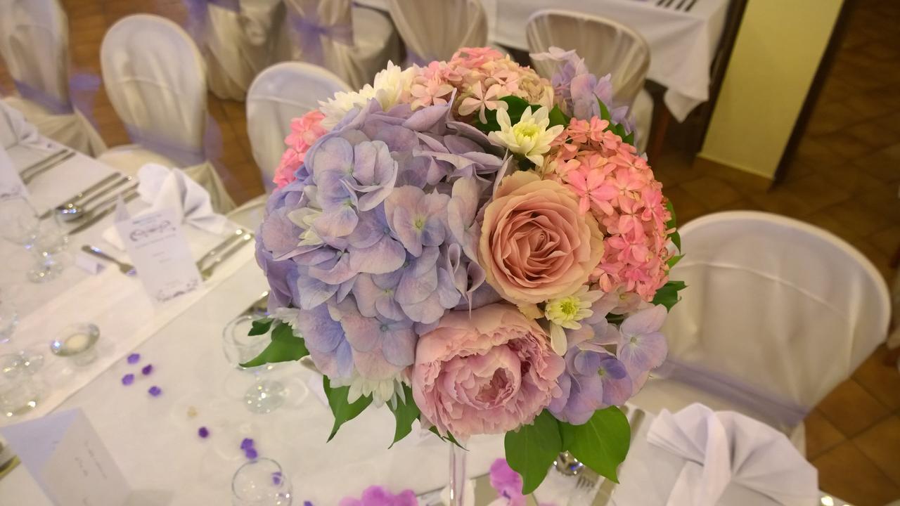 Hotel Adriatic 오미살즈 외부 사진